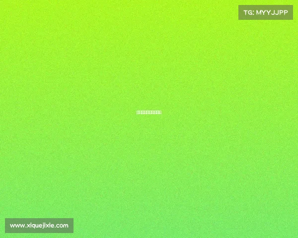 指尖电子商务有限公司 指尖电子商务有限公司