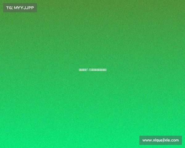 《反恐精英1.6：枪王争霸战火重燃》