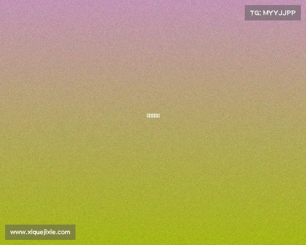 盐城市比赛 盐城市比赛